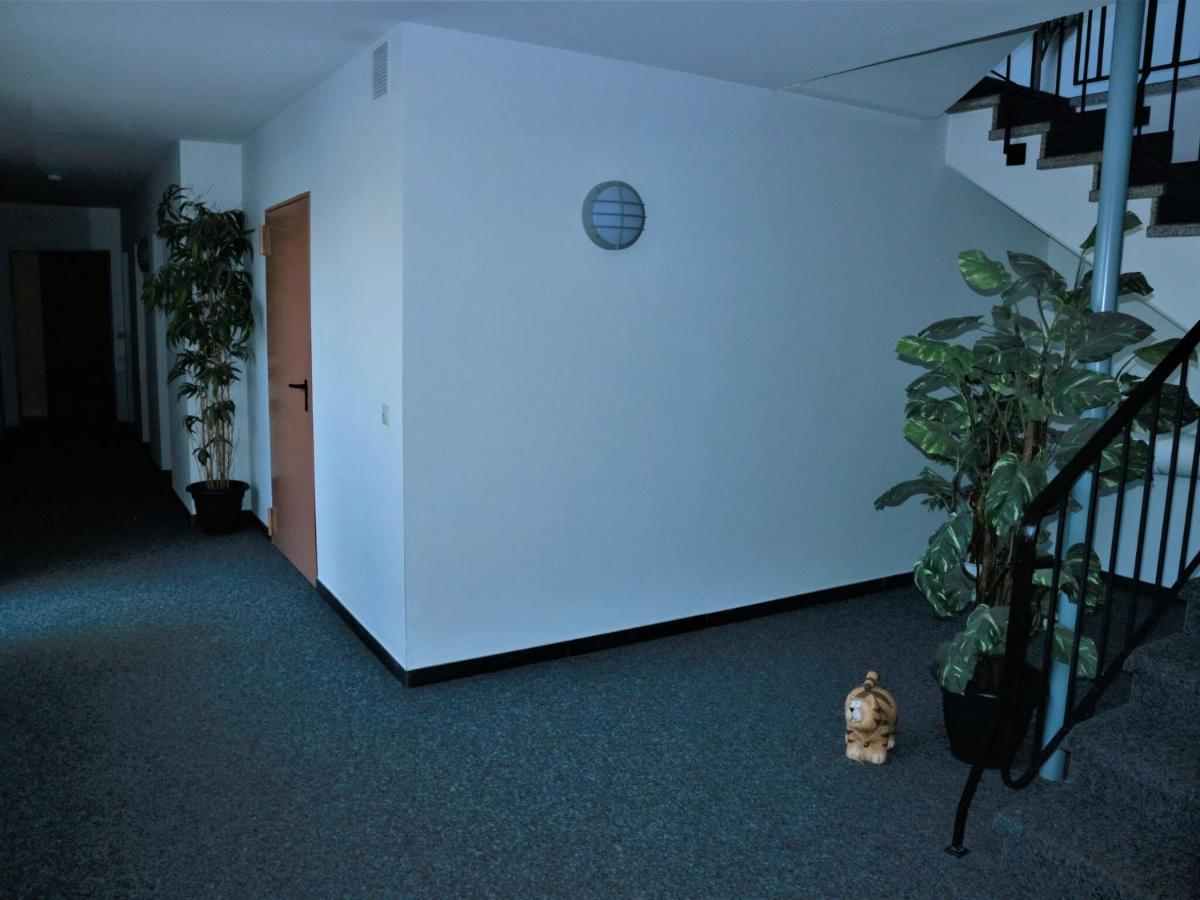 Modern Apartment In Winterberg With Garden Eksteriør bilde